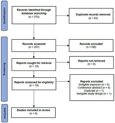 Novel approach to investigate the association between type 2 diabetes risk and dietary fats in a dietary pattern context: a scoping review